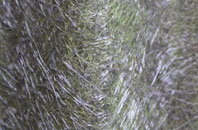 Congerstone fibreglass roof work